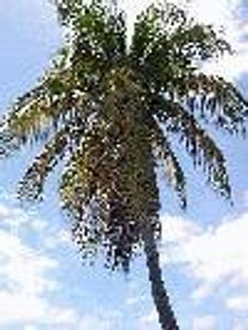 Greg_in_FLA Profile Photo